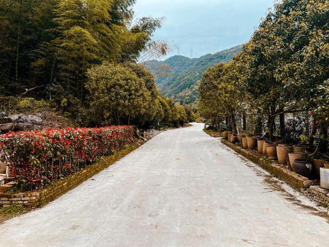 椒江黄岩路桥临海温岭玉环最新发布(图4)