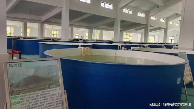 走进大藤峡探索水利工程奥秘(图3)