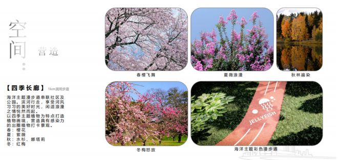 国贸虹桥璟上2024网站-国贸虹桥璟上楼盘详情-上海房天下(图15)