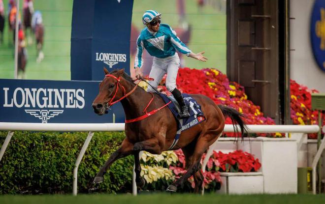 “浪漫勇士”成全球赢取奖金最多赛马：将出征2000万美元沙特杯！