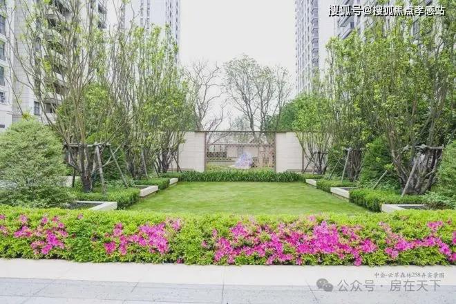中企云萃森林（2025网站最新发布）中企云萃森林内幕大揭秘(图9)