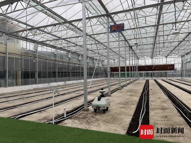 成都造“机器狗”准备种田了！目前已接入DeepSeek未来将实现多项农作物监测功能(图5)