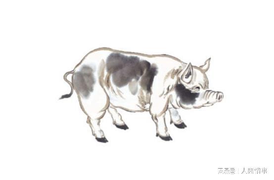 4月财富逆袭家有这3生肖财运兴旺开启事业新篇章恭喜(图2)