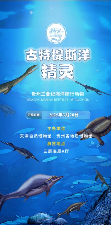 5月全国100家博物馆的100个热门展览！(图12)