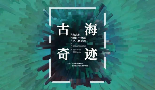 5月全国100家博物馆的100个热门展览！(图5)