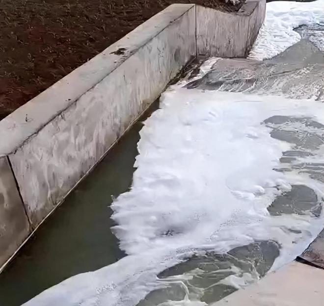 秦皇岛河水突漂白沫死鱼！恶臭弥漫如臭鸡蛋村民：不敢开窗