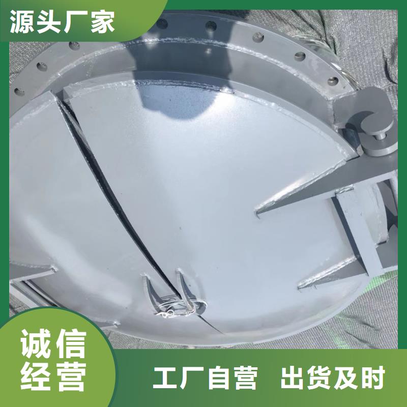 钢制闸门一站式服务(图4)