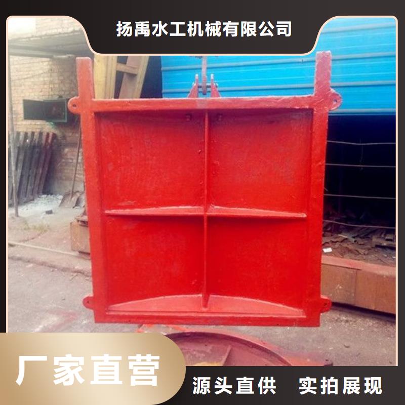 【铸铁闸门】钢制闸门我们更专业(图2)