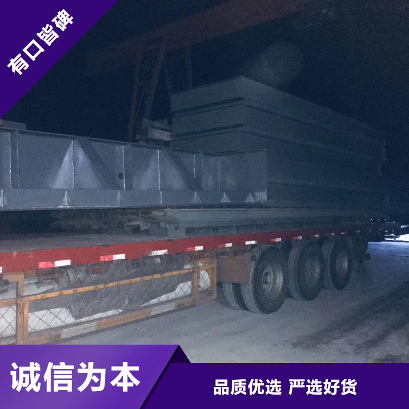钢制闸门厂家直供(图3)