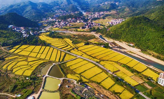 【头条】阀门兴镇铸底气城乡焕新提品质——专访英都镇党委副书记、镇长黄宗权(图5)