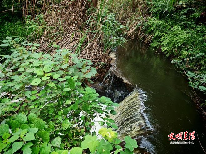 耒阳：重修红旗水库灌溉渠道