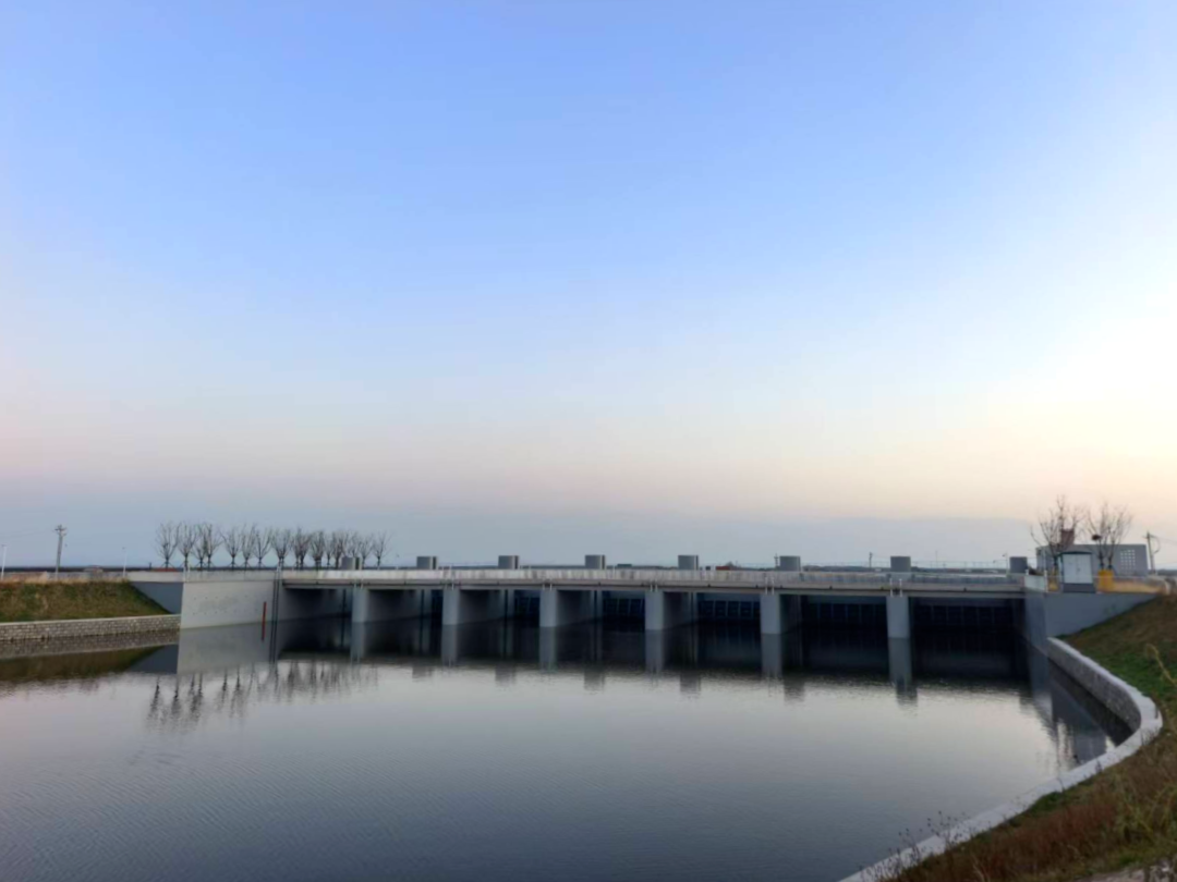 再添殊荣！康复大学周边水系项目斩获华东地区优质工程奖(图2)