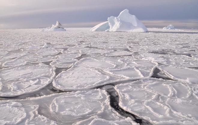 格陵兰岛三百万年冰川突然倒塌中国沿海城市该怎么办？(图2)